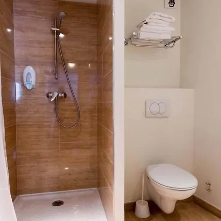 Saint Etienne מלון לורדה