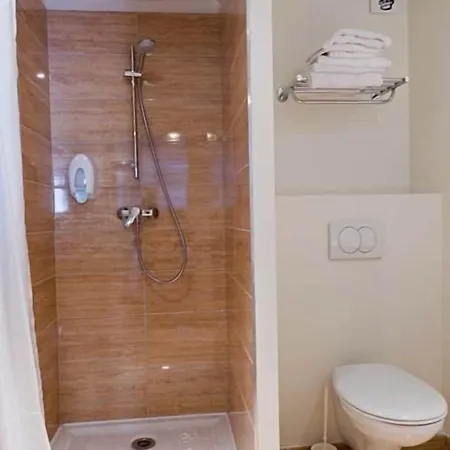 Saint Etienne מלון לורדה