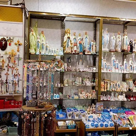 Saint Etienne מלון