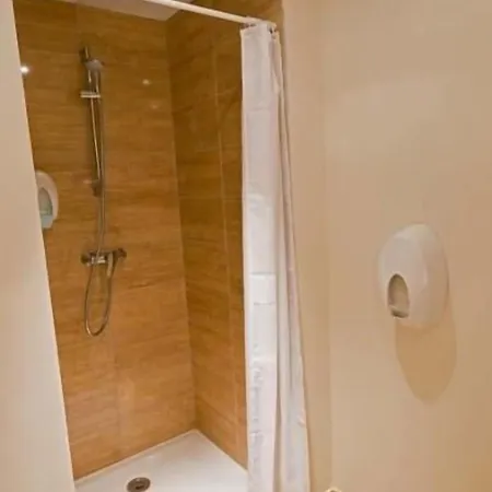 מלון Saint Etienne